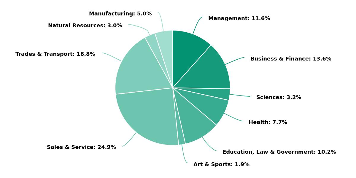 Labour Force by Occupation