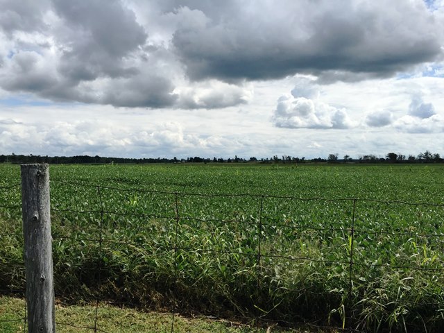 Open field with cloudy sky