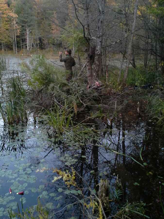 Hunter in marsh