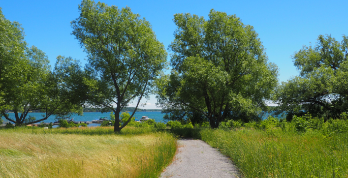 Bateau Channel Park