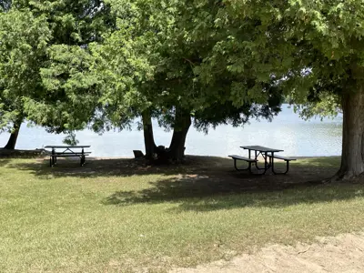 sand beach waterfront with two picnic tables and large trees