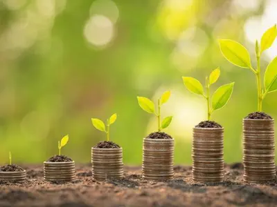 5 stacks of coins with leaf sprouts on the top to show economic growth