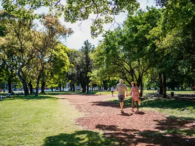 adults walking in the park