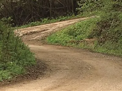 Country road lane