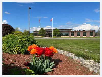 Bright orange flowers in a flowerbed with a building and two flag poles with the Canadian flag and Ontario flag in the background