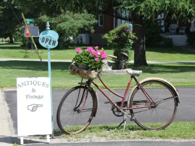 a bike with a flower pot on the handle bars