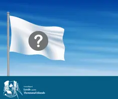 flag with a question mark for logo